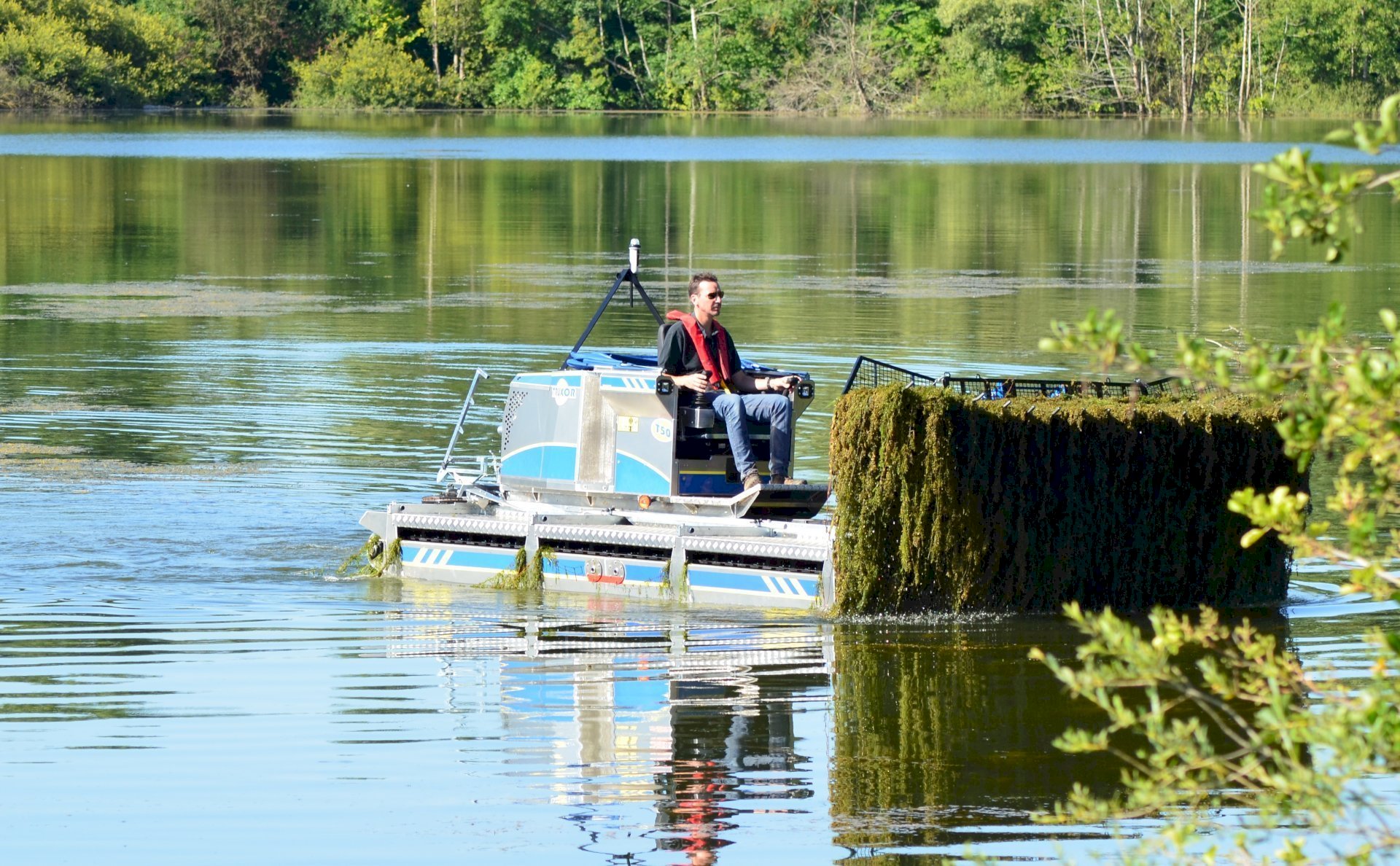 Faucardage de Myriophylles dans un étang en Seine et Marne