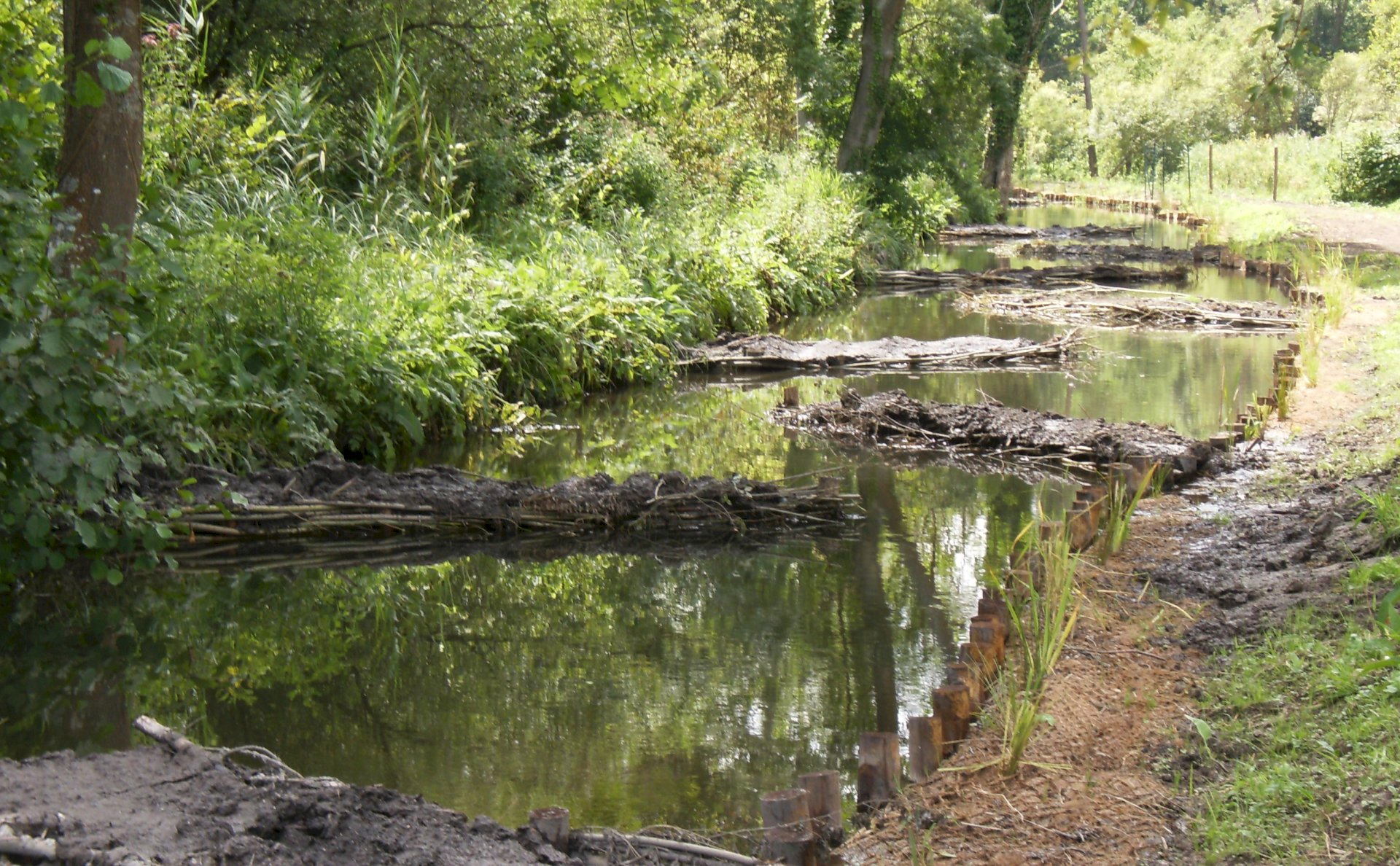 Redynamisation de cours d'eau