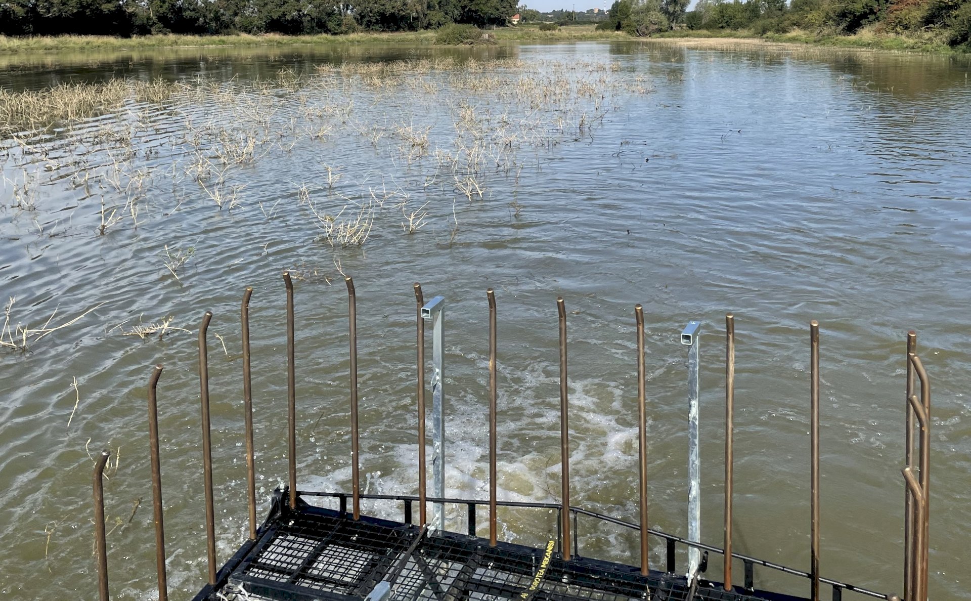 Coupe de Saules dans un étang